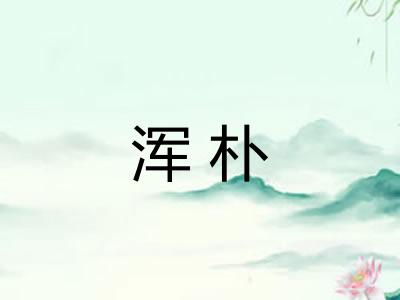 浑朴 浑朴