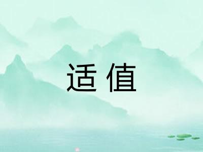 适值 适值