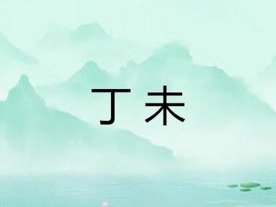 丁未
