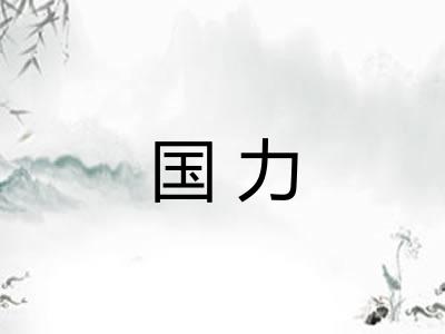 国力
