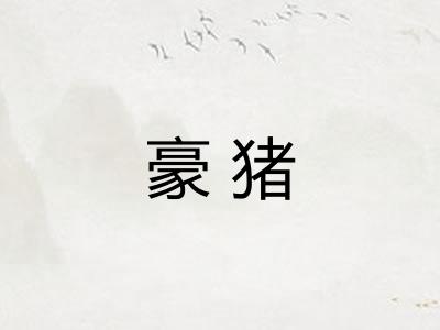 豪猪 豪猪