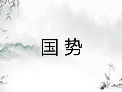 国势 国势