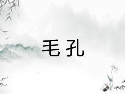 毛孔