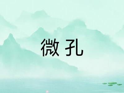 微孔 微孔