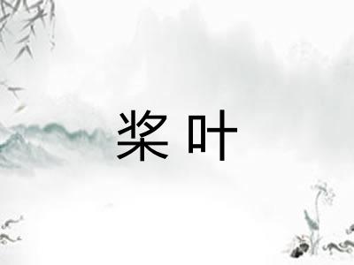 桨叶 桨叶