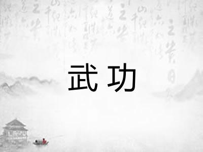 武功 武功