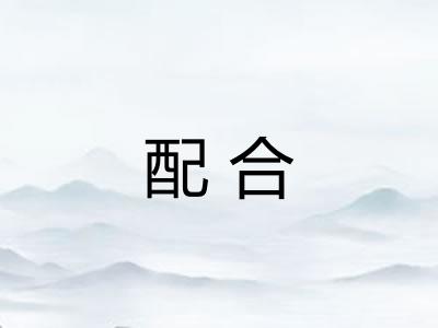 配合 配合