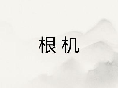 根机