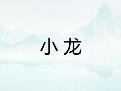 小龙