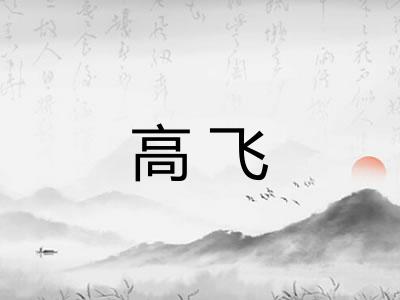 高飞 高飞