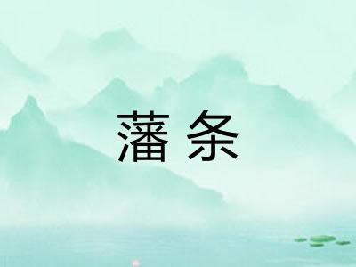 藩条