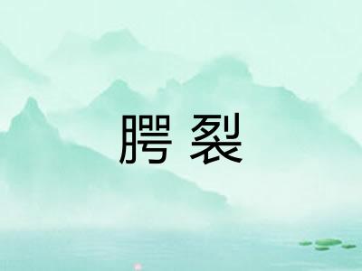 腭裂