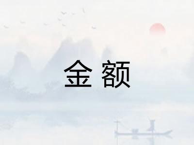 金额 金额