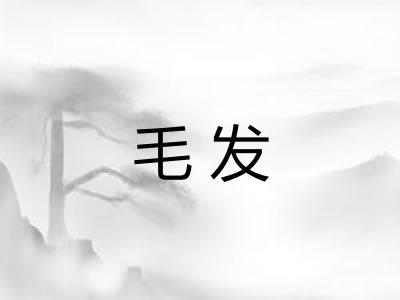 毛发 毛发