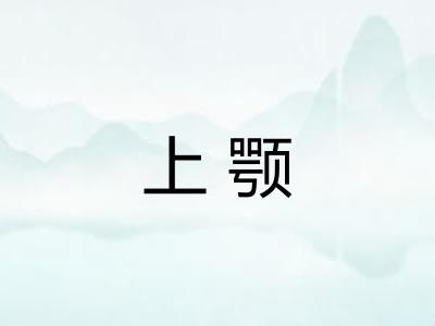 上颚 上颚