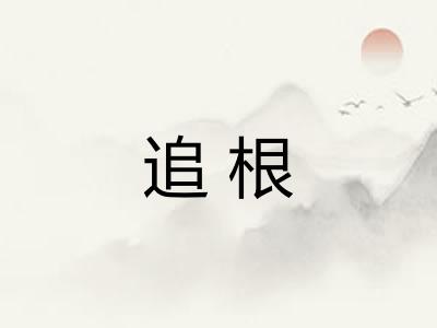 追根 追根