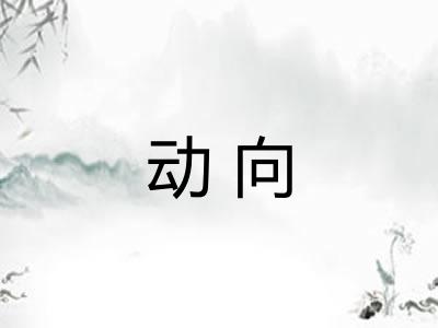 动向 动向