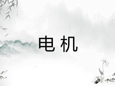 电机 电机