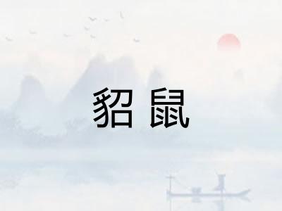 貂鼠