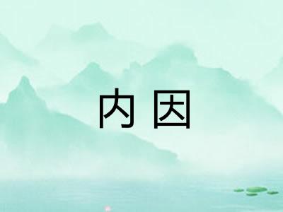 内因