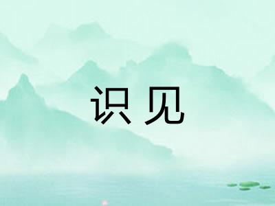 识见 识见