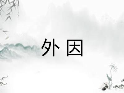 外因