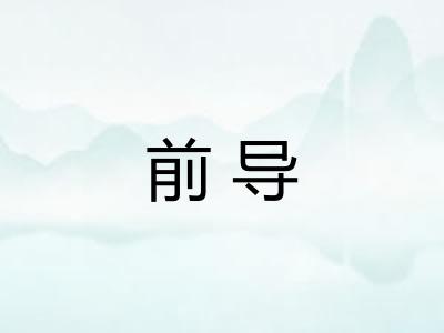 前导