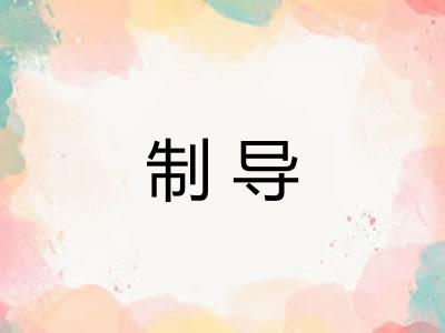 制导