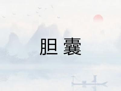 胆囊 胆囊