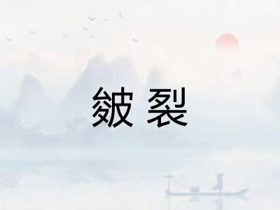 皴裂 皴裂