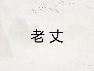 老丈