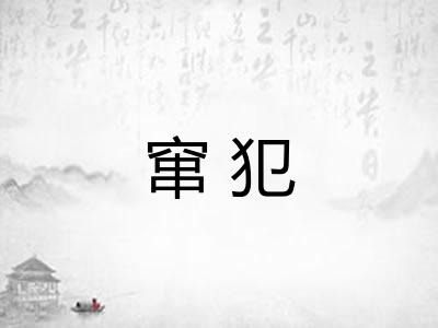 窜犯