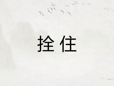 拴住 拴住