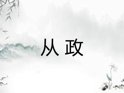 从政 从政