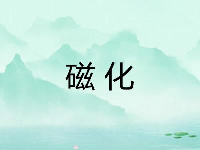 磁化 磁化