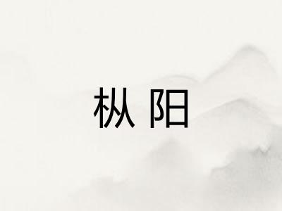 枞阳 枞阳