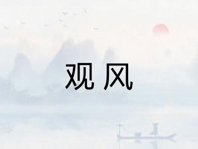 观风