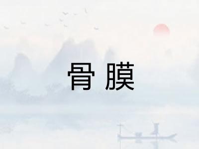 骨膜