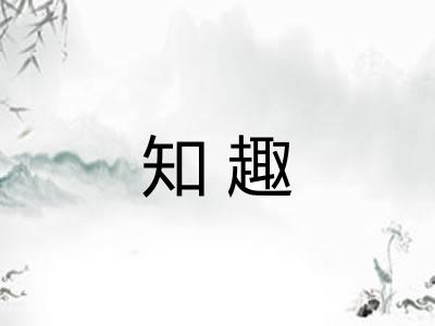 知趣