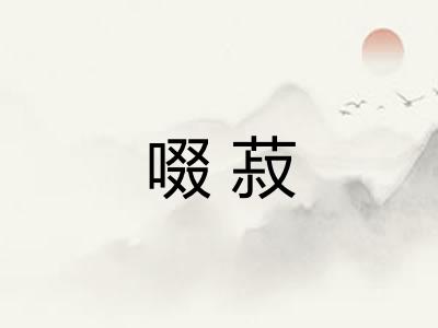 啜菽