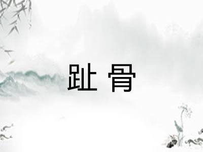 趾骨 趾骨