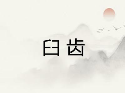 臼齿 臼齿
