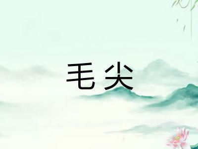 毛尖