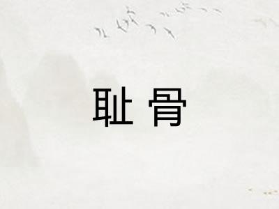 耻骨