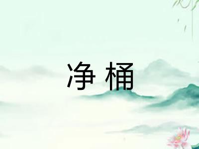净桶