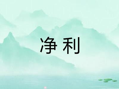净利 净利