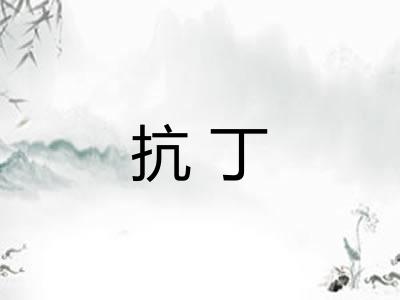 抗丁 抗丁