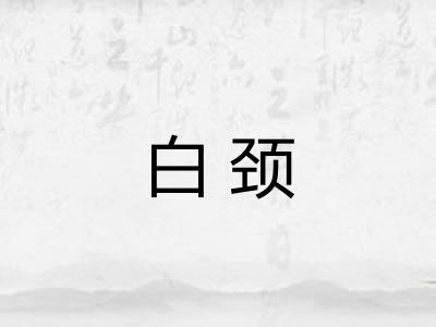 白颈 白颈