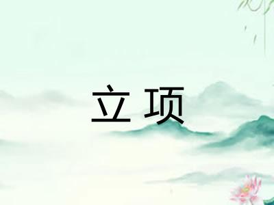 立项