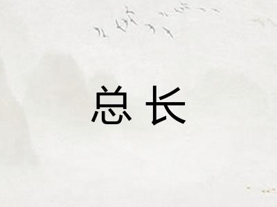 总长